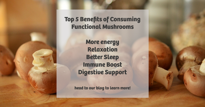 Top 5 Health Benefits From Consuming Functional Mushrooms